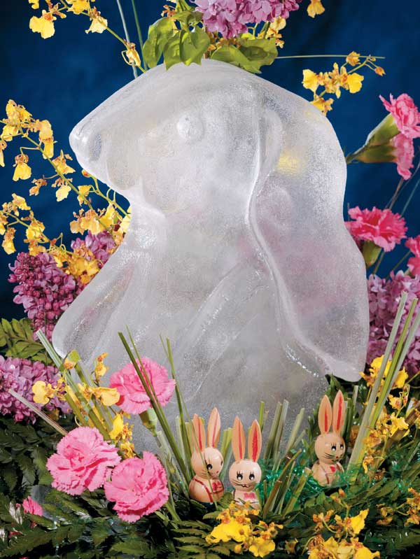 Ice Art Dolphin Ice Sculpture Blue Silicone Reusable Mold CBL