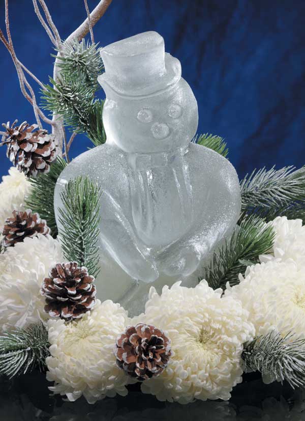 Christmas Ice Mold - Frugally Blonde